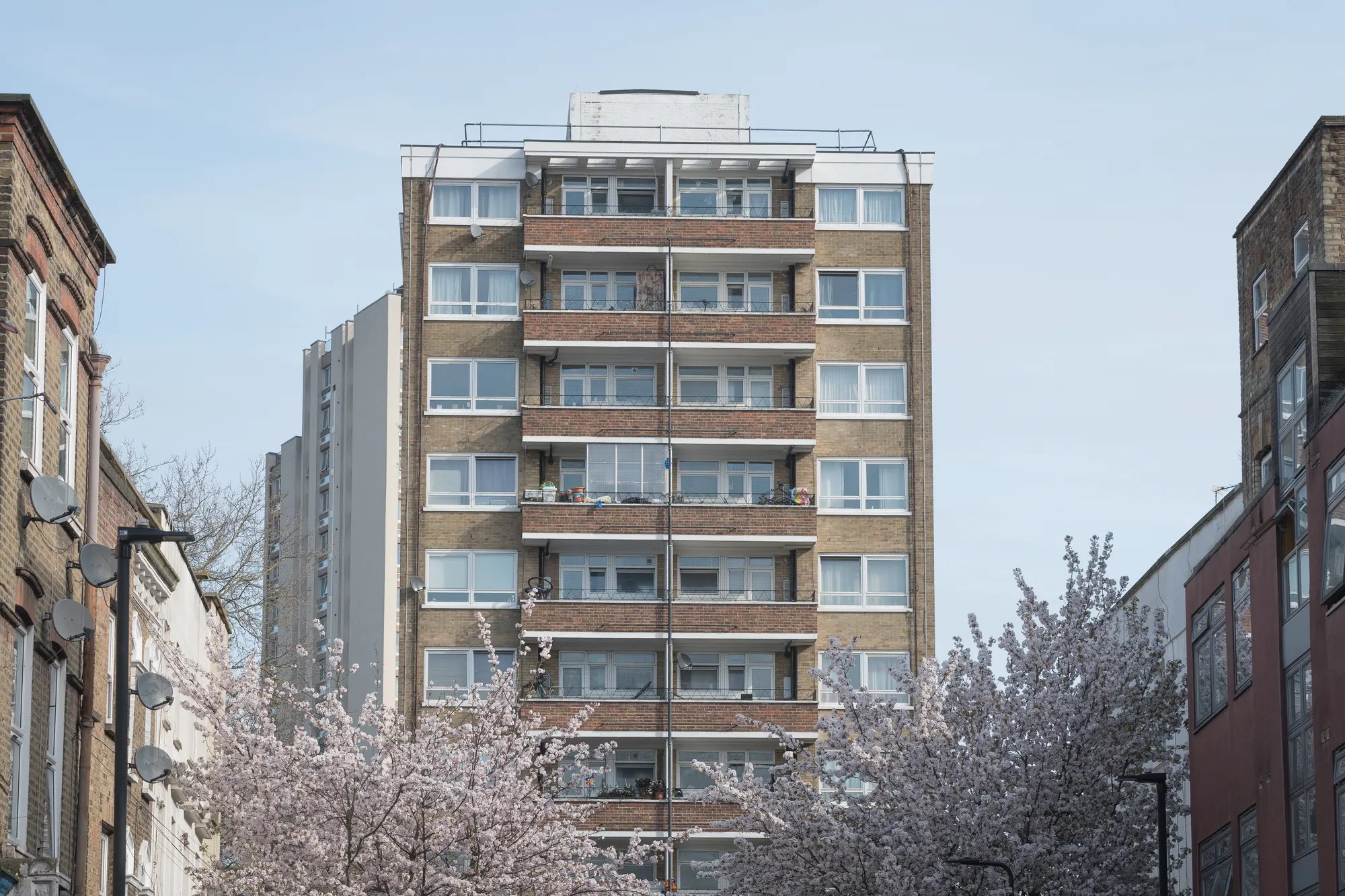 Springtime, Chalk Farm. 2024.